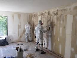 Mold Odor Removal Services in Sheboygan, WI